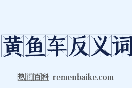 黄鱼车反义词是什么意思的图片